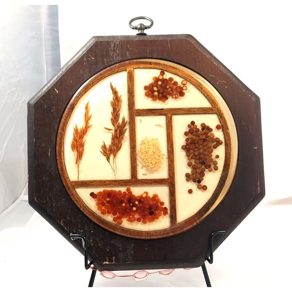 Vintage Mid Century Acrylic Lucite 8" center and 10.5" frsme wall decor  kitche